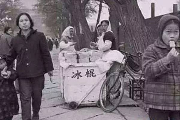 狗毛被剃光狗内心崩溃,把狗毛剃光长出来成卷毛了