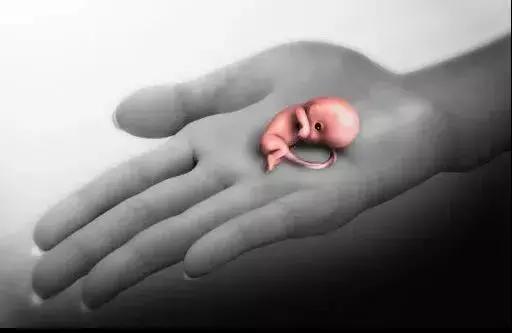 宫外孕腹腔积血导致休克,宫外孕大出血休克死亡率