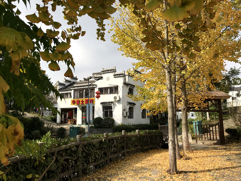 采菊东篱下悠然见南山拙政园,采菊东篱下悠然见南山芒种