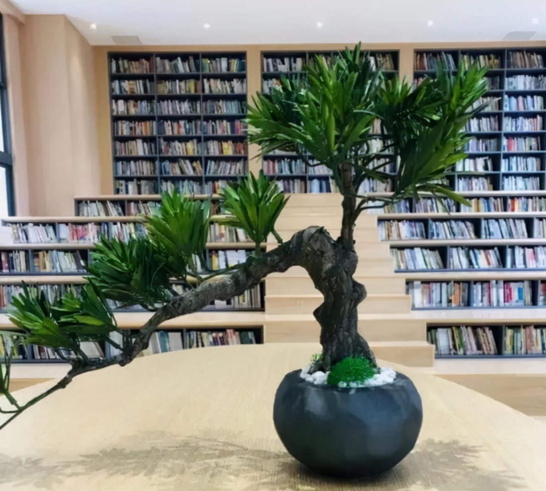 家长对双减政策和课后服务的建议,双减工作与课后延时服务政策解读