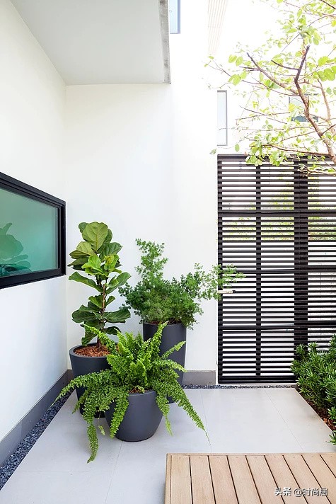 40平米私家小花园设计图片,40平私家小院庭院设计案例