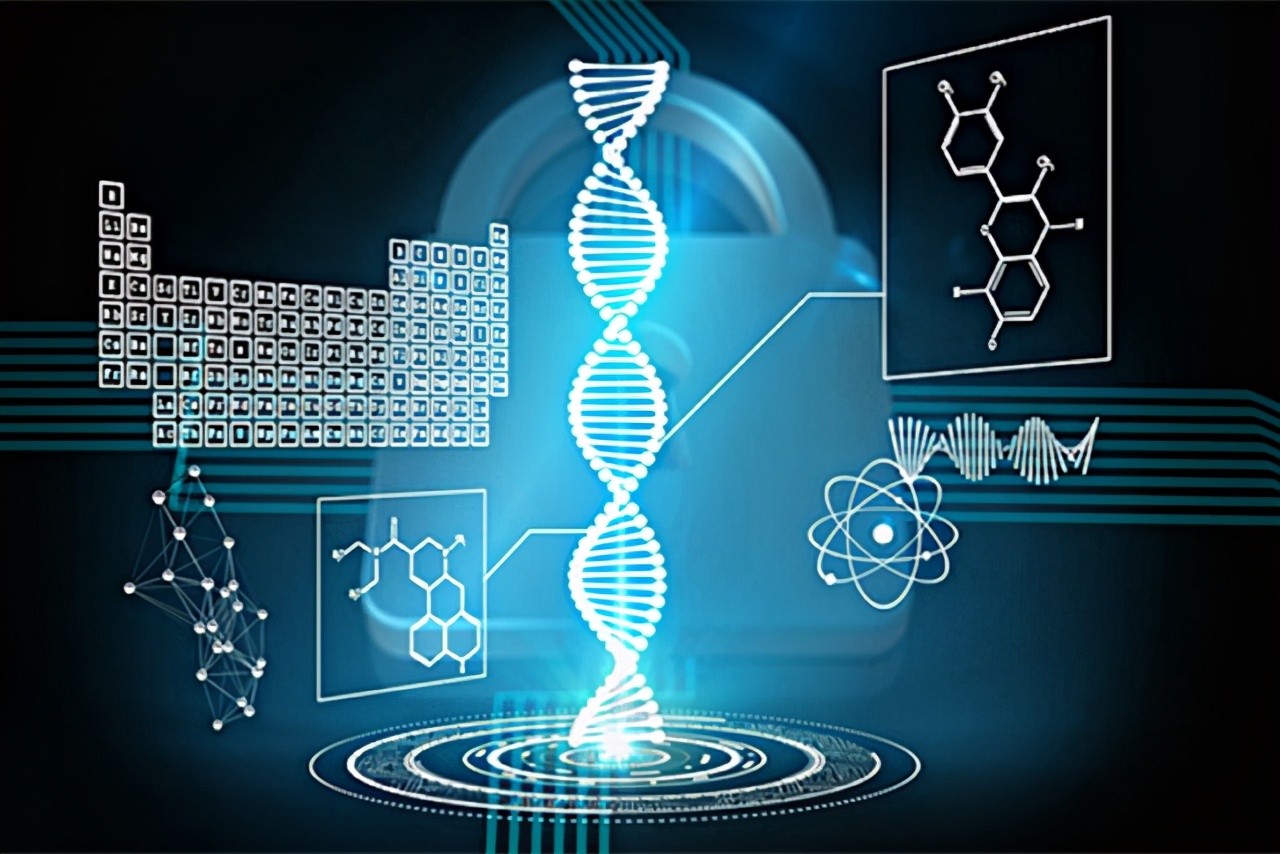 腰带长一截寿命,腰带长寿命短