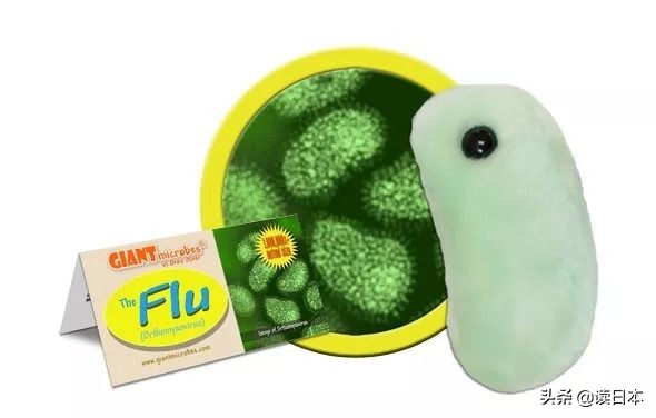 “*体器人官**”挂件或成为日本最新潮流?网友:我的钱包又要哭了