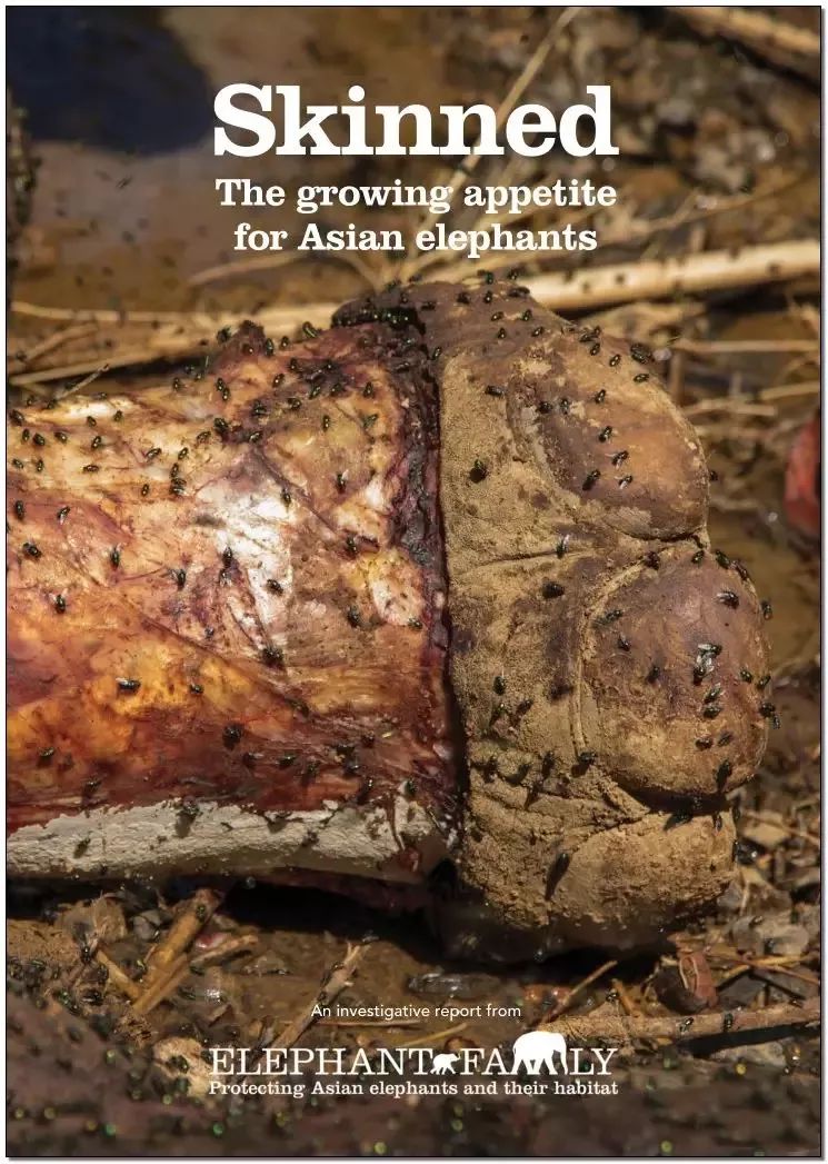 文玩的十大黑幕,文玩最让人无奈的六件事