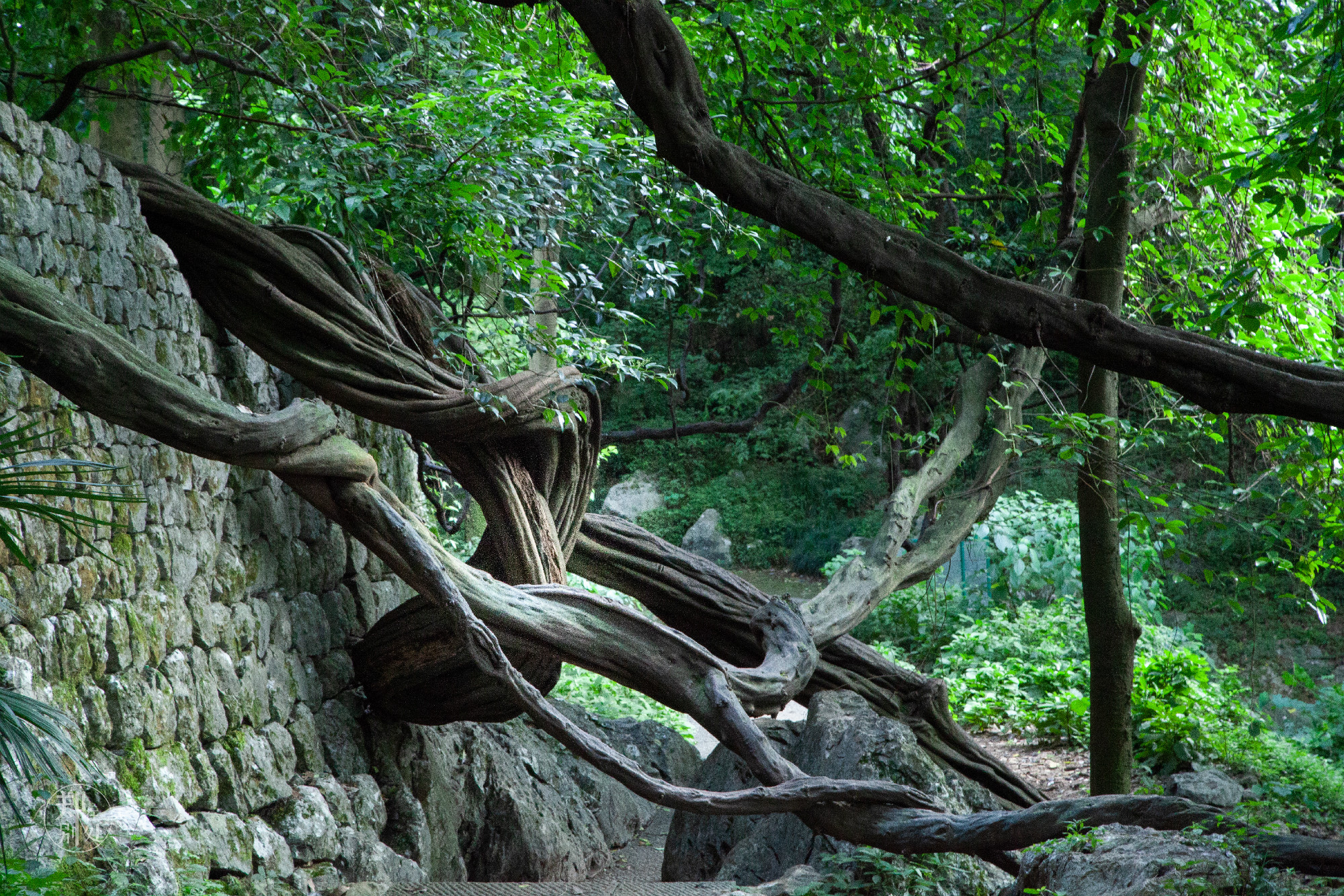 坐公交游杭州几路最好,杭州87路公交沿路风景
