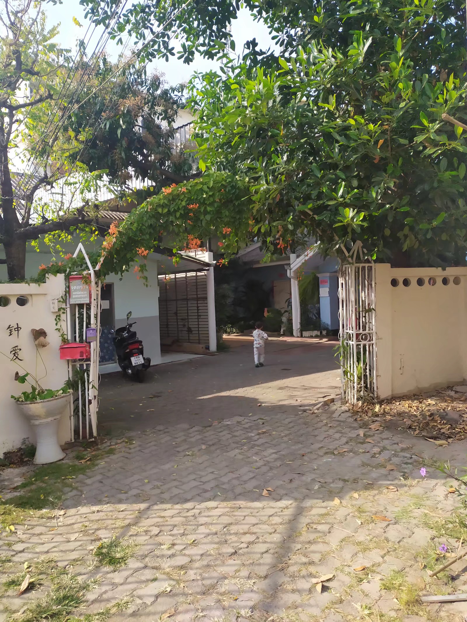 60多块钱收留我们的那家清迈民宿，还是没能熬过非常时期，遗憾