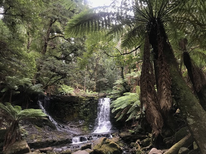 去墨尔本演出,马云到墨尔本见老友