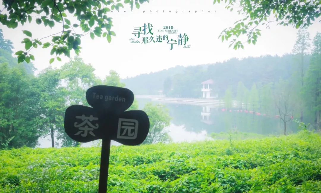 钘忎笉浣忎簡鐪熼潰鐩畬鏁寸増,钘忎笉浣忎簡杩欐墠鏄湡姝g殑鑷繁