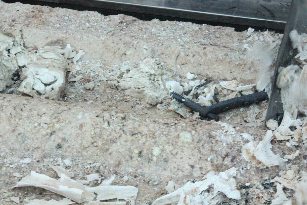 骨灰是什么东西,骨灰主要是什么元素