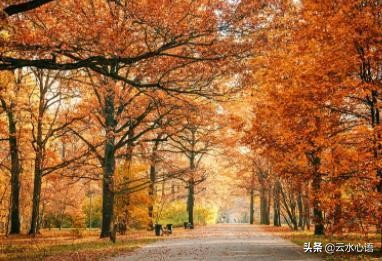 司空图的二十四首诗,司空图写过的诗