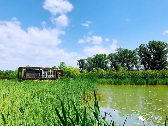 盘点北京适合遛娃的六个地方,周末免费遛娃好去处北京