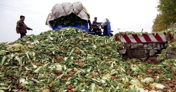 韩国人受欺凌事件,吐槽韩国人泡菜事件