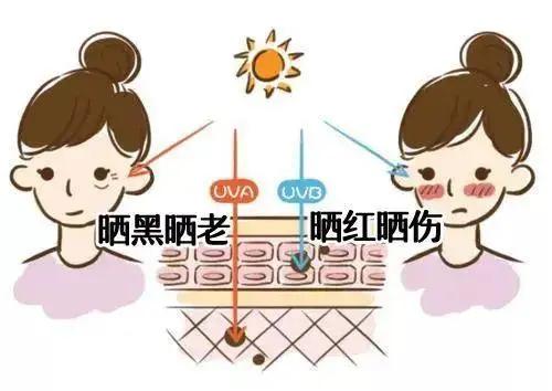 化妆都遮不住的“*褐斑黄**”？樊哥来拯救你了