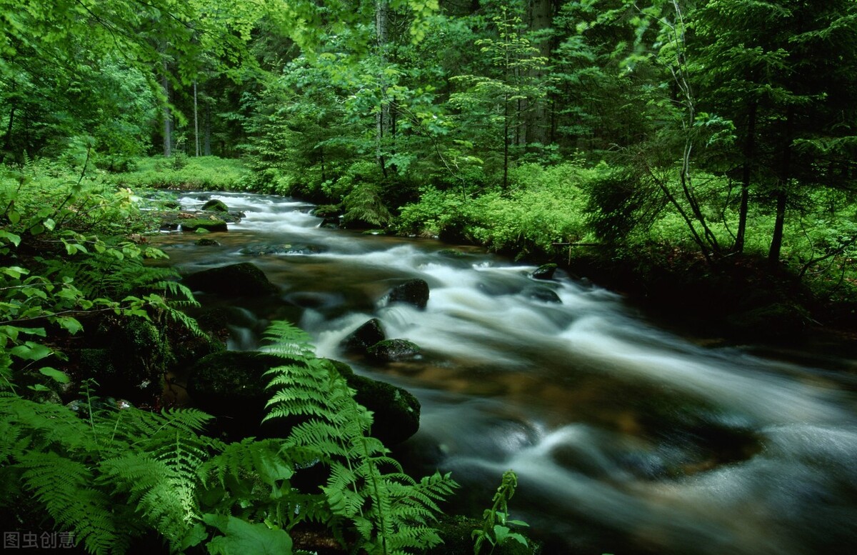 失眠导致耳鸣多久能自愈,耳鸣失眠越来越严重怎么治