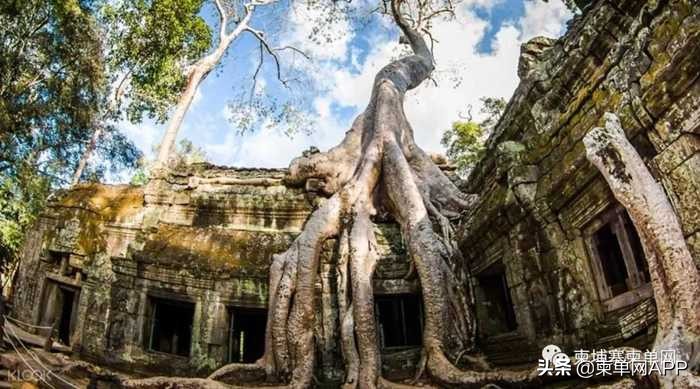 暹粒13名中国游客遭车祸死伤，网约车司机至今逃逸