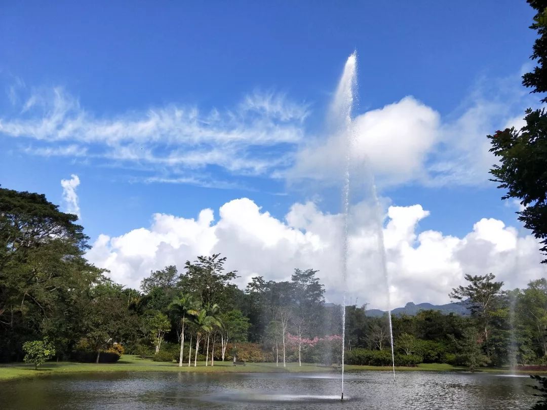 袁金奎老师国画作品欣赏,袁金奎写意花鸟画作品