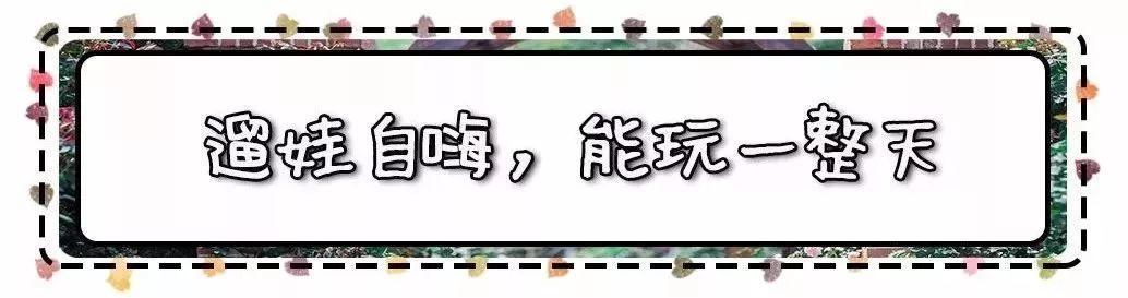 槽糕，是心动的感觉！这个神秘花谷正在悄然绽放！走，去拍照～
