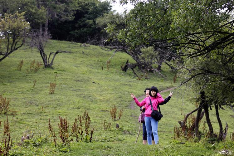 难忘的草原简谱完整版,难忘的草原女声完整版