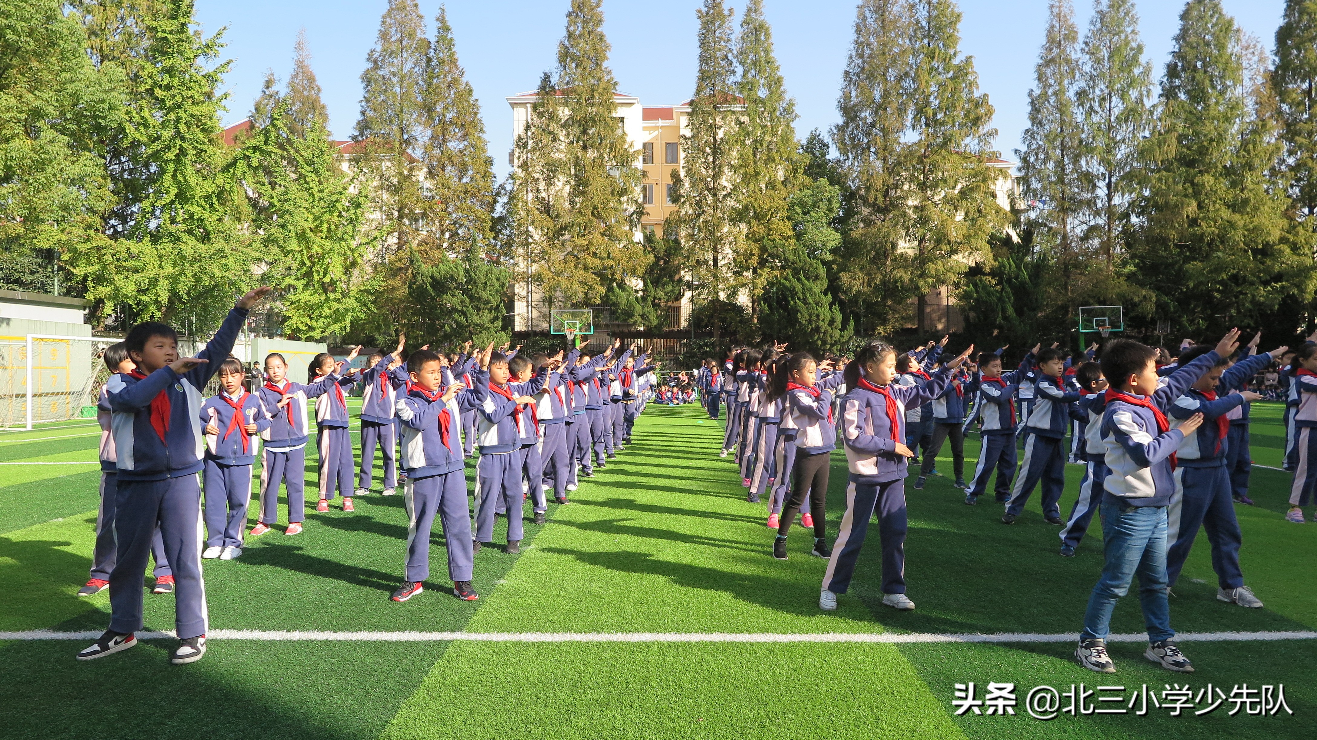 2019秋季运动会活动,2019秋季运动会圆满结束