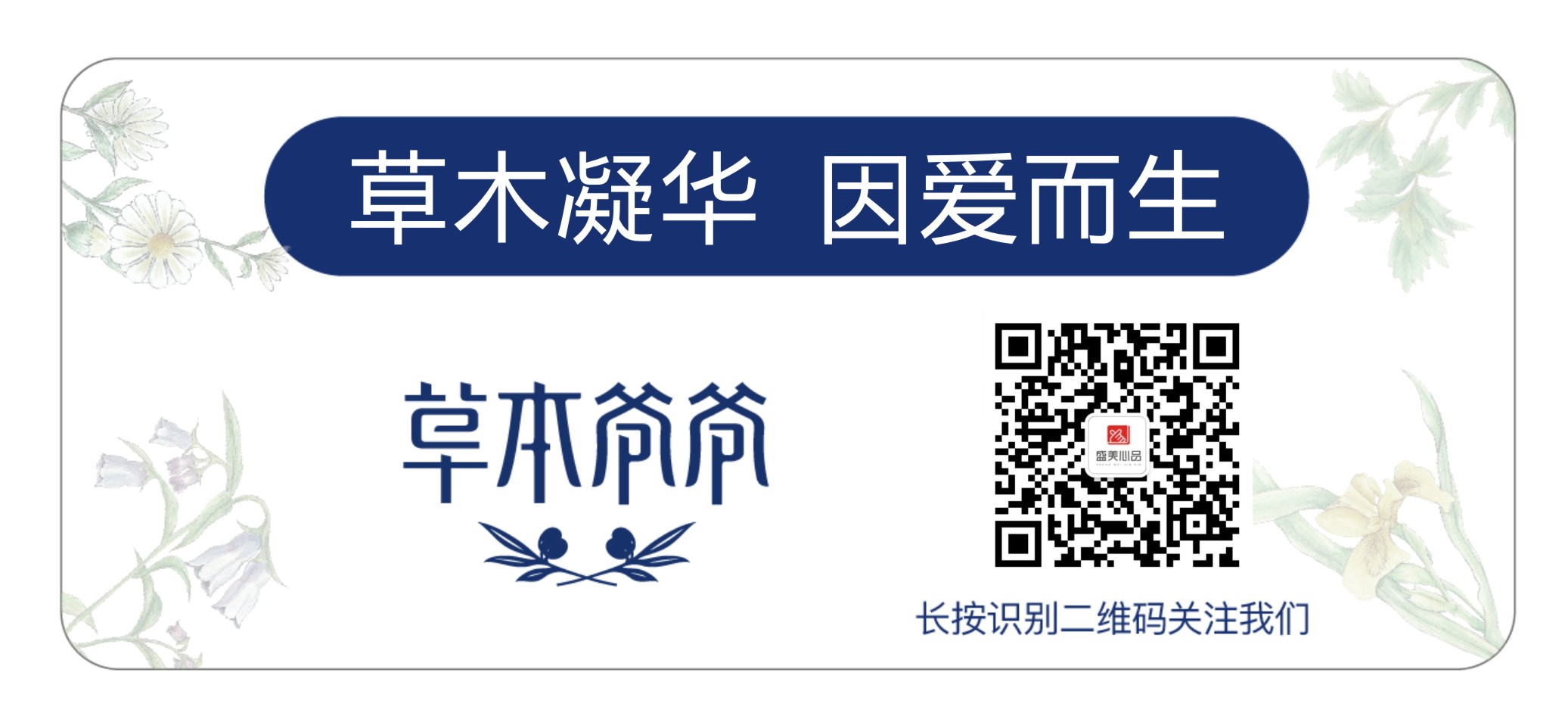 草本橄榄润肤,草本爷爷