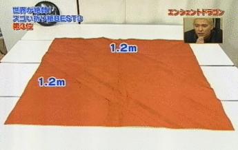 折纸大神的所有折纸,折纸大神教折纸