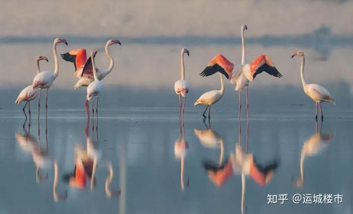 运城哪个城区以后会发展更好,运城发展新老城对比