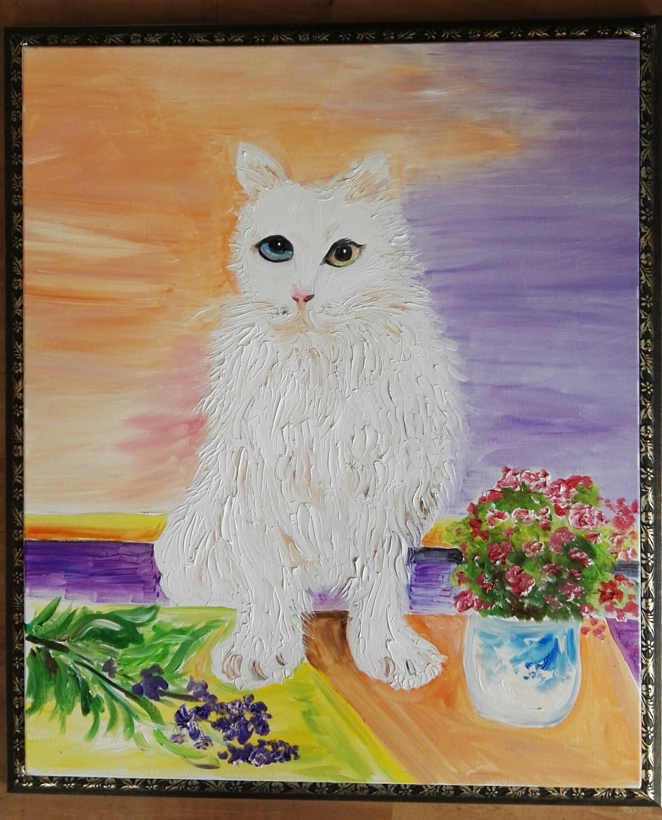 狮子猫小猫咪,狮子猫橘色宠物