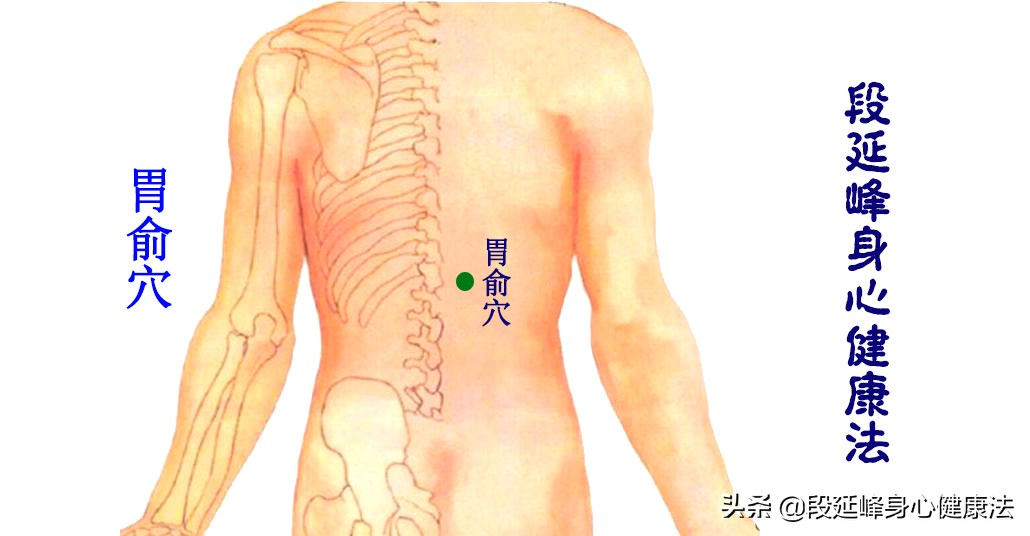胃肠动力不足中药如何调理,胃肠功能紊乱胃动力不足怎么办