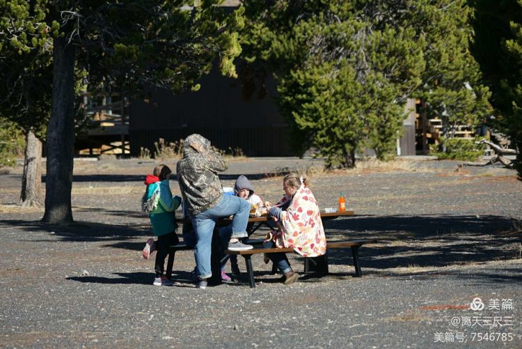 鍖楃編鏋儏闃虫柊,鍖楃編鏋儏鍥剧墖