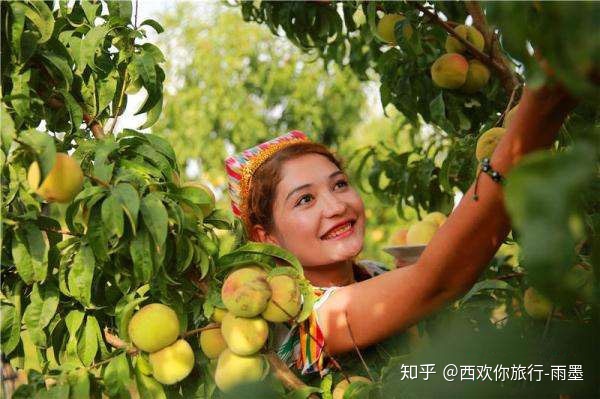 *疆新**瓜果攻略最好的季节配最美味的水果