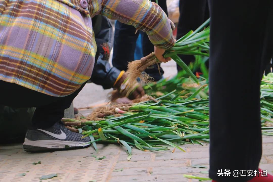 在西安,你一定要逛一次万寿路的早市