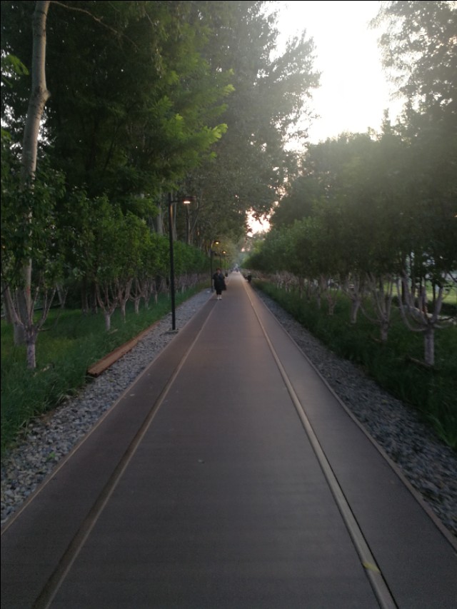 帕金森症状手颤吃美多芭有效吗,有帕金森的老人手颤有没有办法