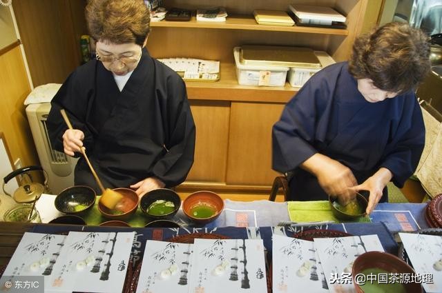 茶文化究竟是指什么意思,茶文化究竟是指什么详解