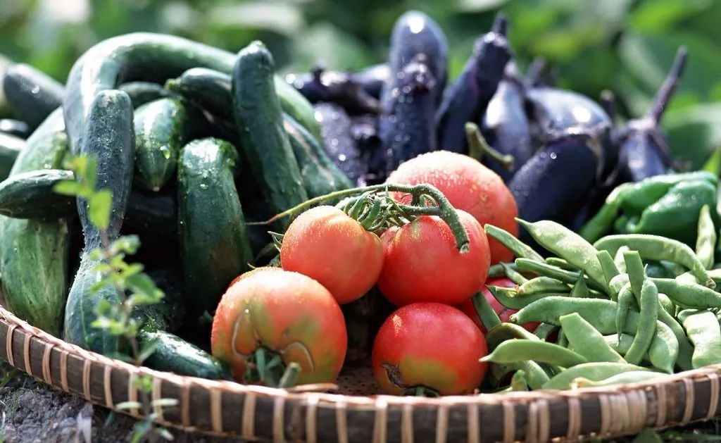 哪些牌子坚果致癌物超标,警惕身边的致癌物少碰这种食物