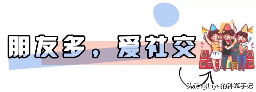 女人爱买衣服是不是一种病,爱买衣服爱打扮的女人