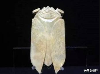 超美味口感,超级美食你敢去试试吗