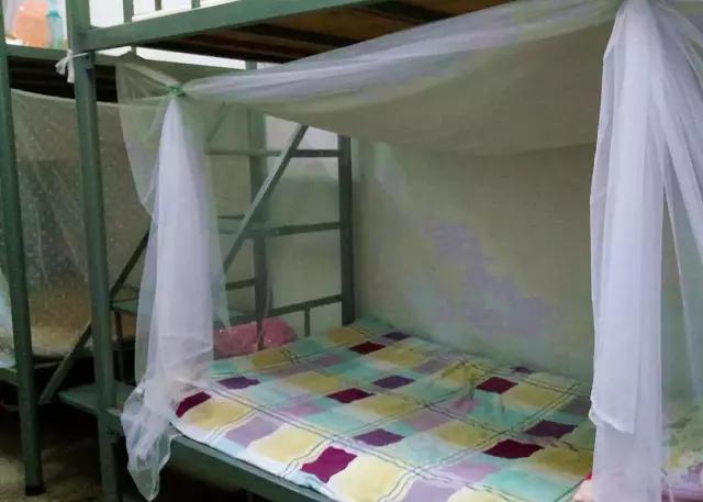 东莞市第一中学,东莞市第一中学有什么特色