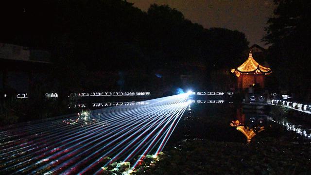 黄鹤楼樱花限定,黄鹤楼春日游