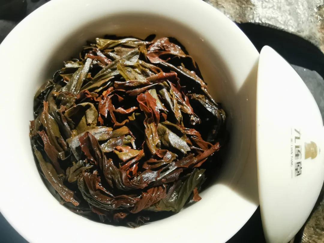 斗茶节白茶仙子,小狮王辛巴出世