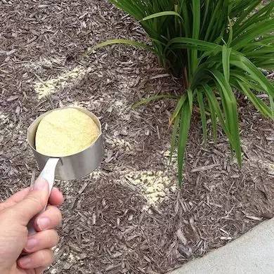 花园土壤如何松土,花园土壤怎么改造