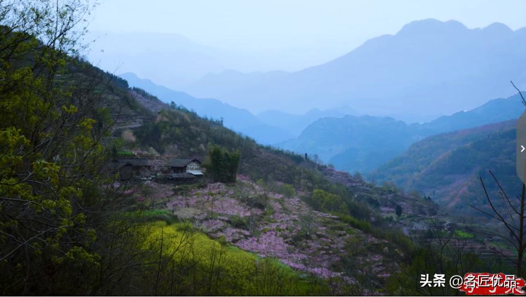 李子柒火了的视频,李子柒现身网红节却暴露真实颜值