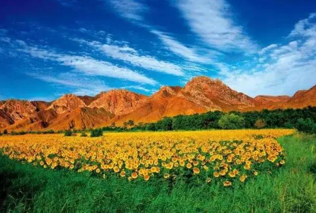 去一次大西北等于远行十次,去宁夏旅游的最佳地方