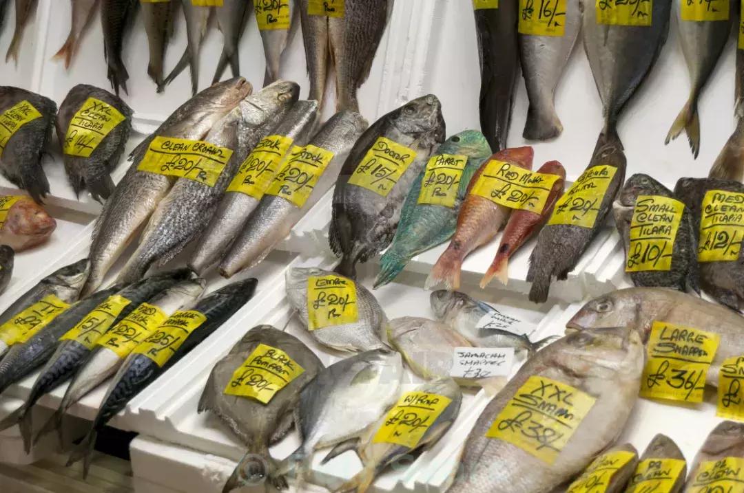 去英国海鲜市场要注意什么,英国都有哪些海鲜市场