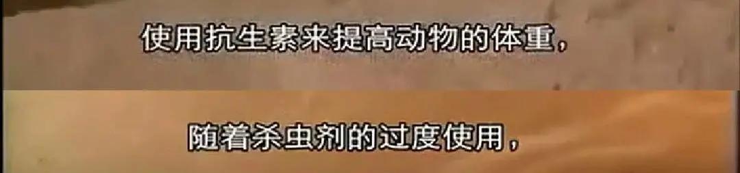 总统喊你来看片，这波硬核安利我吃了