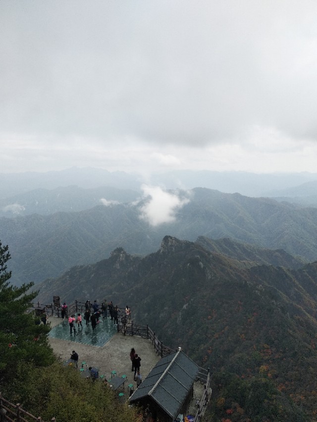 老村长可以兑什么喝,老村长喝什么