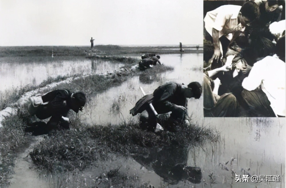 我经历“送瘟神”的时光