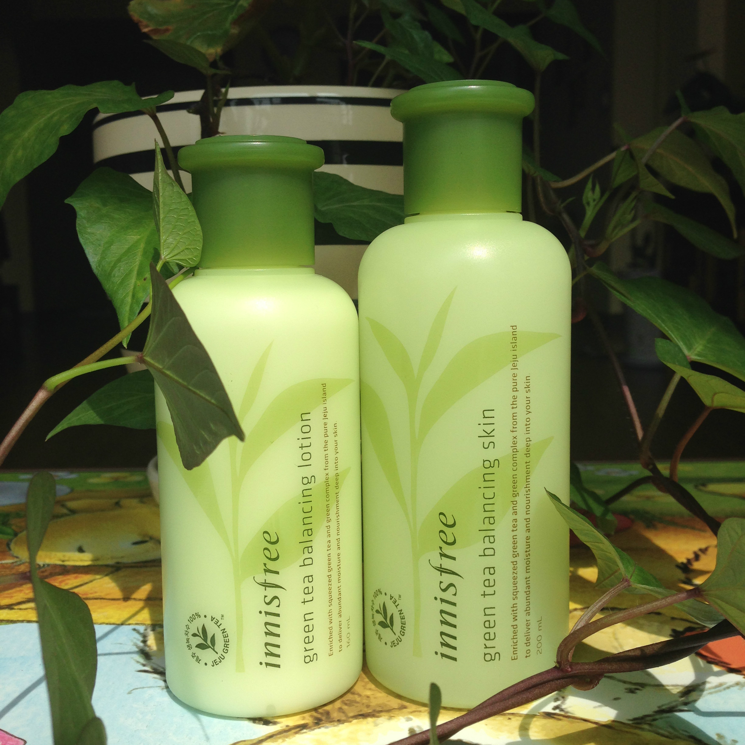 整容和护肤 (整容级护肤手法)