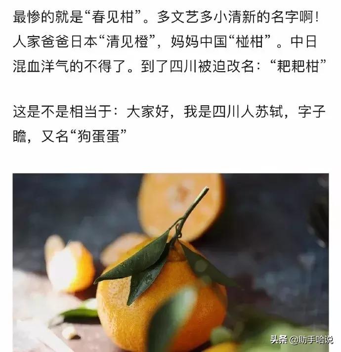 四川人和台湾人说话叠词,四川人的叠词有多可爱