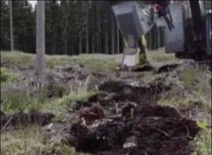 德国的认真和严谨,德国人的严谨和认真有多可怕