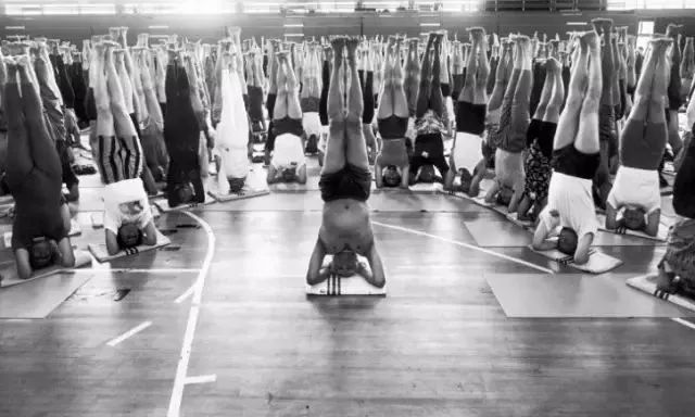 常见的艾扬格瑜伽体式,艾扬格瑜伽23个基本体式